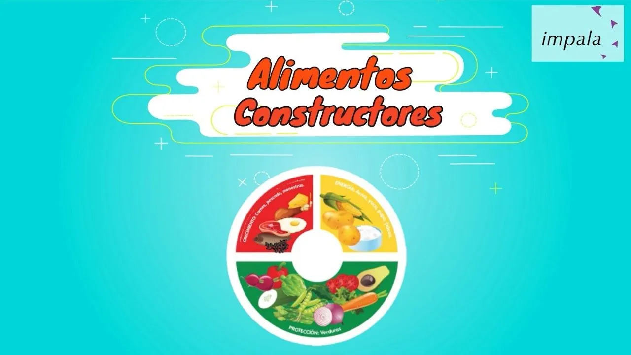 Conociendo los Grupos de Alimentos - Alimentos Constructores - YouTube Conociendo los Grupos de Alimentos - Alimentos Constructores - YouTube