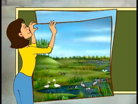 Conociendo los humedales. - YouTube