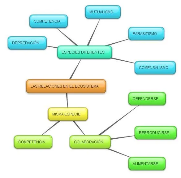 CONOCIMIENTO DEL MEDIO 5º: octubre 2012 CONOCIMIENTO DEL MEDIO 5º: octubre 2012