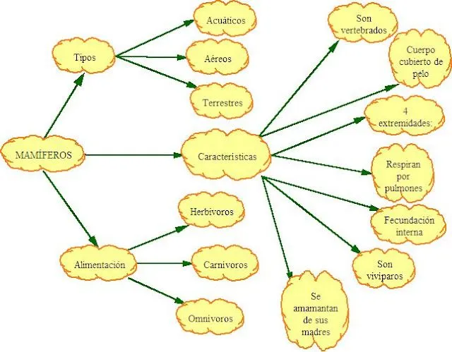 CONOCIMIENTO DEL MEDIO 5º: Unidad 2: Los animales vertebrados