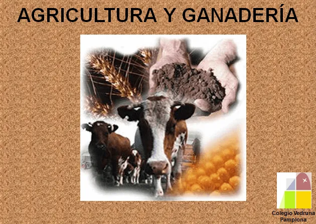 CONOCIMIENTO DEL MEDIO | Blog de 1º de E.P. Colegio Vedruna (Pamplona) CONOCIMIENTO DEL MEDIO | Blog de 1º de E.P. Colegio Vedruna (Pamplona)