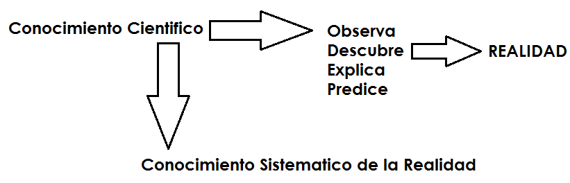 Conocimiento Científico | Ciencia X 1000