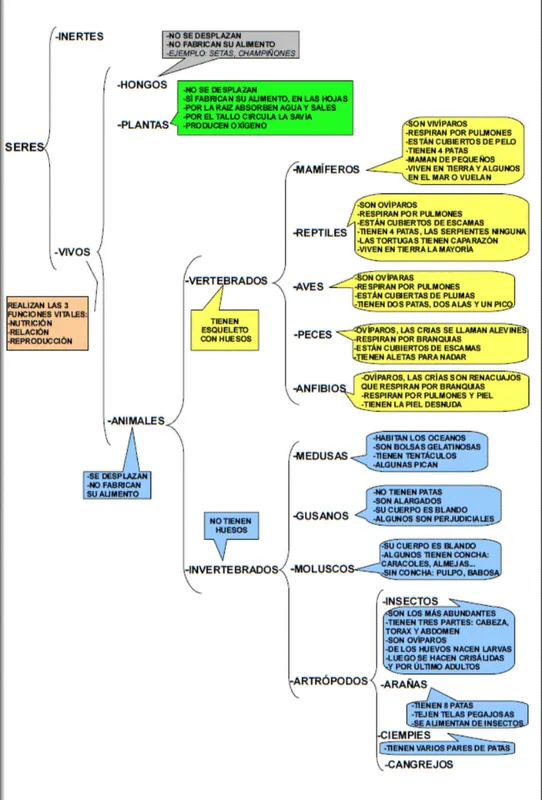 Conocimiento del Medio y Plástica: LOS SERES DE LA NATURALEZA ...