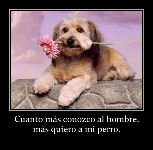 Cuanto más te Conozco | Imagenes Tiernas - Imagenes de Amor Cuanto más te Conozco | Imagenes Tiernas - Imagenes de Amor