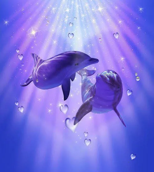 SER CONSCIENTES: Mensaje de los Delfines