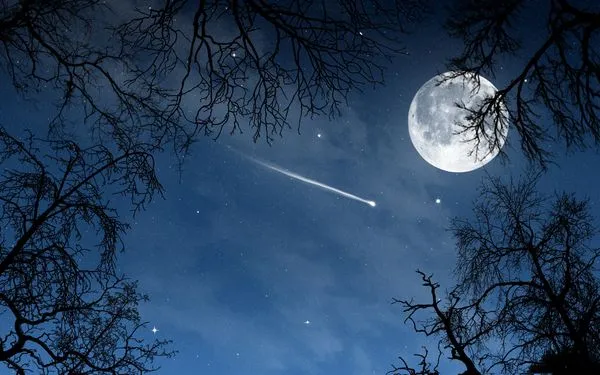 El consejo de la estrella fugaz a la Luna | Europides El consejo de la estrella fugaz a la Luna | Europides