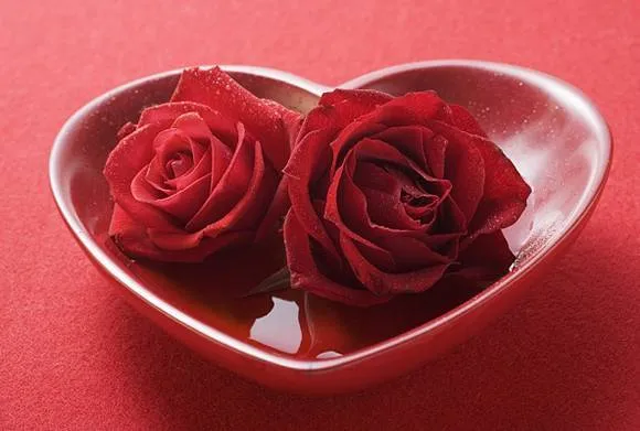 Consejos | El blog de FloresNuevas.com | Página 2