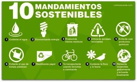 Consejos para cuidar el Medio Ambiente | Frases Hoy