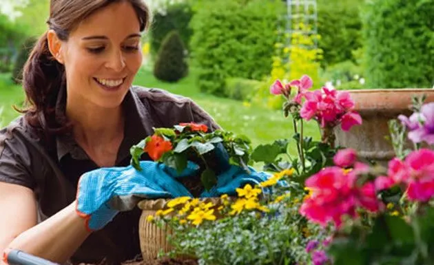 Consejos para cuidar las plantas de interior en verano - De ... Consejos para cuidar las plantas de interior en verano - De ...