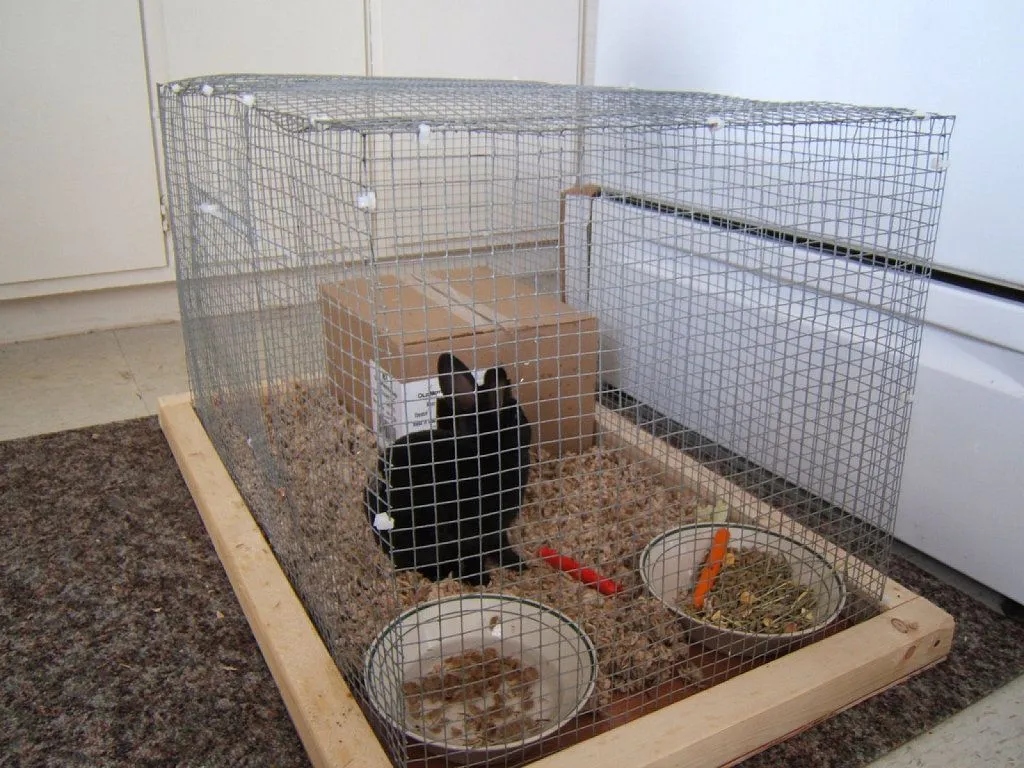 materiales para jaulas para conejos | Cuidar de tu mascota es ... materiales para jaulas para conejos | Cuidar de tu mascota es ...