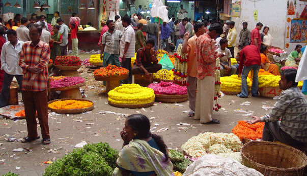 Consejos prácticos de viaje en India