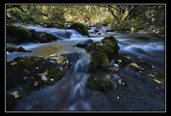 Consejos para tomar mejores fotografías | Designals Consejos para tomar mejores fotografías | Designals