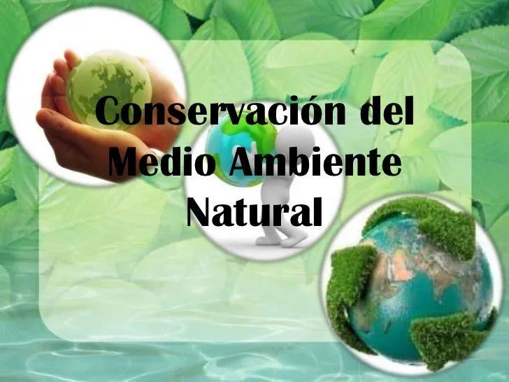 Conservación del medio ambiente natural
