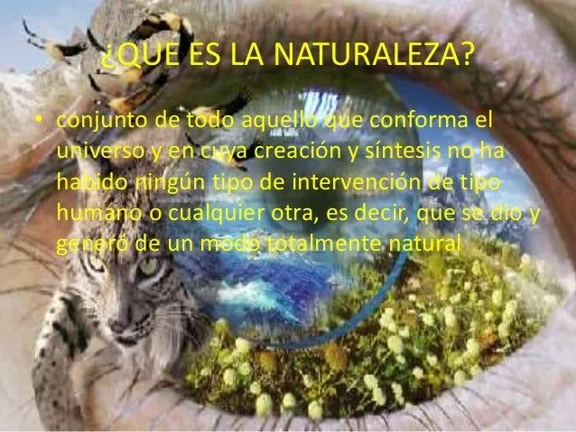 Conservacion de la naturaleza