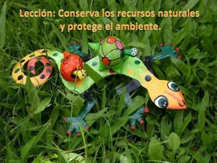 Conservar y proteger los recursos naturales Conservar y proteger los recursos naturales
