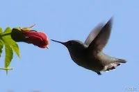 Conservemos nuestra Reserva Paisajistica Nor Yauyos Cochas: julio 2012