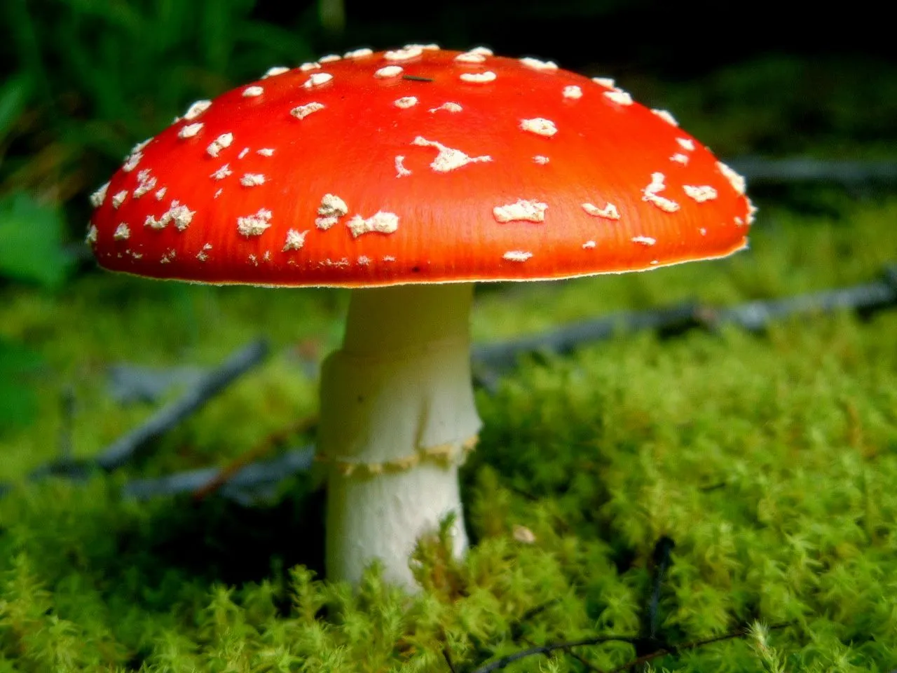 Esta podría considerarse una casa distinguida en un exclusivo ...