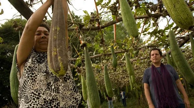 Construcción con Esponja Vegetal y Plásticos Reciclados en ... Construcción con Esponja Vegetal y Plásticos Reciclados en ...