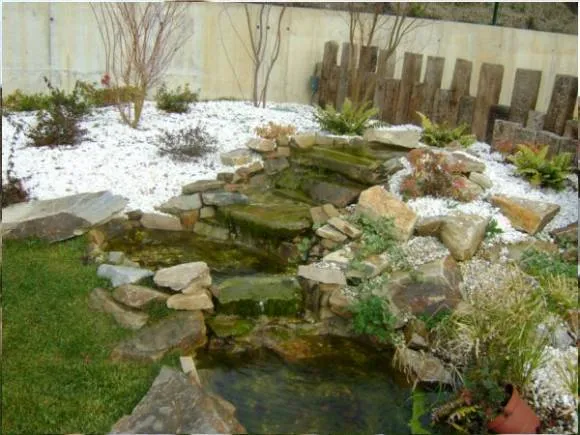 Construcción de un estanque de 4mx6m con un rio de 15m con 7 ...