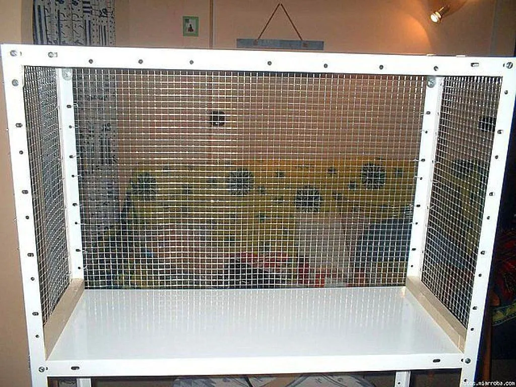jaula para pajaros | Hacer bricolaje es facilisimo. jaula para pajaros | Hacer bricolaje es facilisimo.