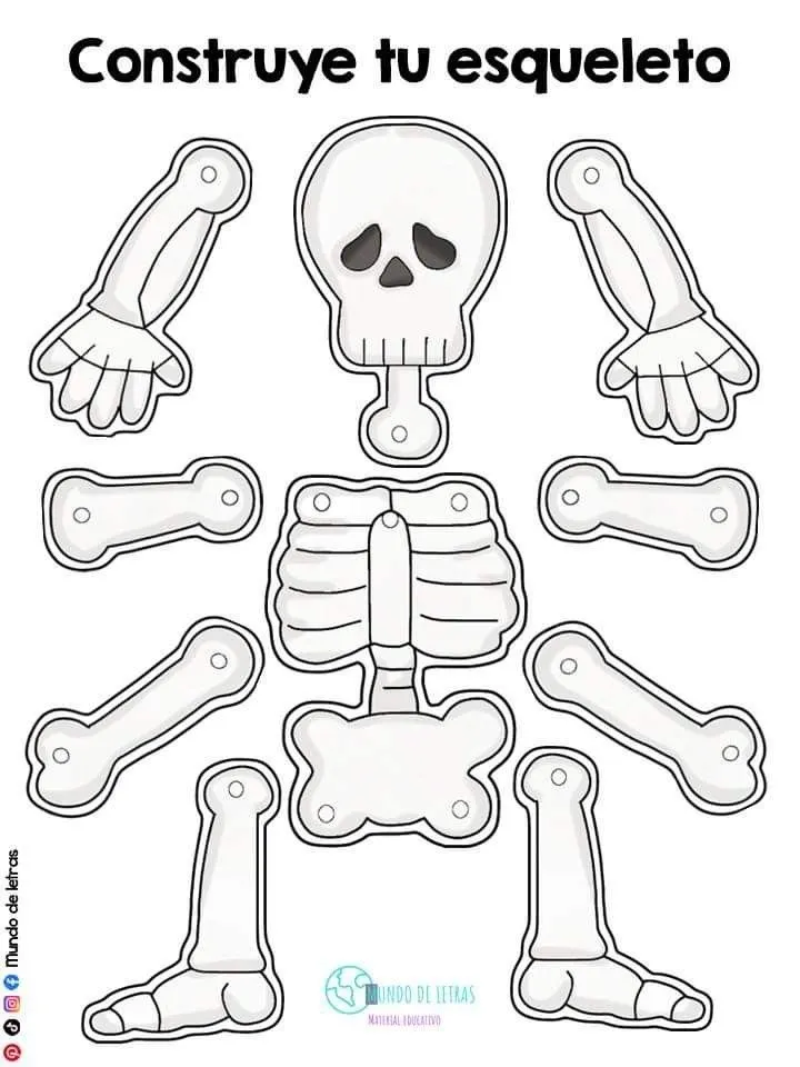 Construye tu esqueleto | Esqueleto para armar, Actividades de figuras geometricas, Material educativo Construye tu esqueleto | Esqueleto para armar, Actividades de figuras geometricas, Material educativo