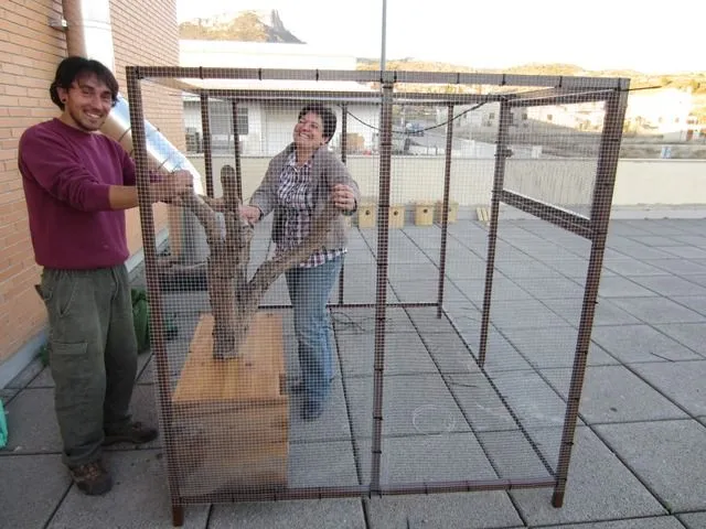 CONSTRUYENDO EL JAULÓN DEL HACKING | Proyecto Mochuelva CONSTRUYENDO EL JAULÓN DEL HACKING | Proyecto Mochuelva