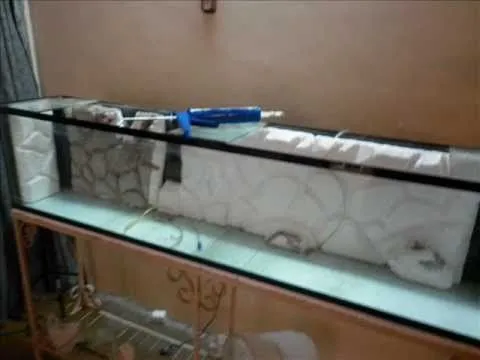 Consulta] Fondo para Acuario... cual elegir?? - Taringa!