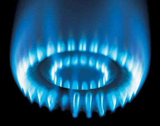 No consumas más gas del necesario ~ La Gran Bodega No consumas más gas del necesario ~ La Gran Bodega