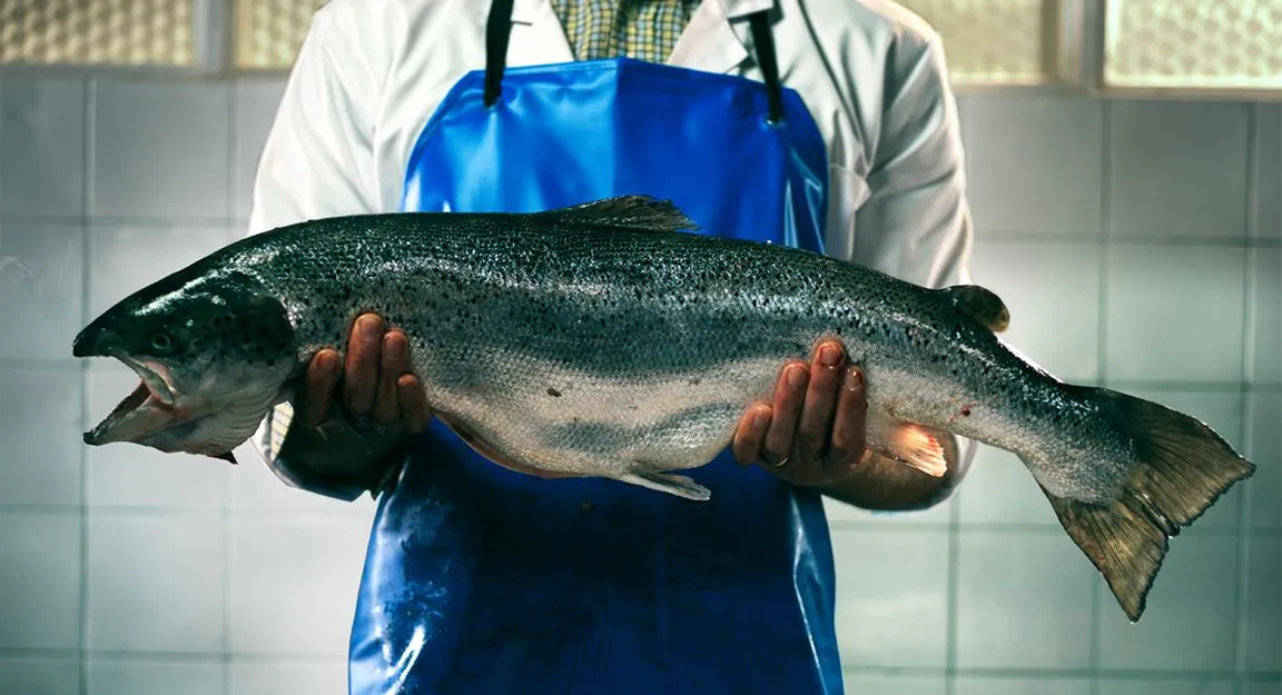 Consumo responsable : las 10 especies más consumidas de pescado Consumo responsable : las 10 especies más consumidas de pescado