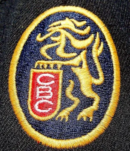 CONTACTO DEPORTIVO: Leones del Caracas inició entrenamientos en el ... CONTACTO DEPORTIVO: Leones del Caracas inició entrenamientos en el ...