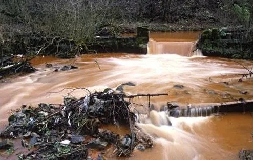 Contaminación del agua