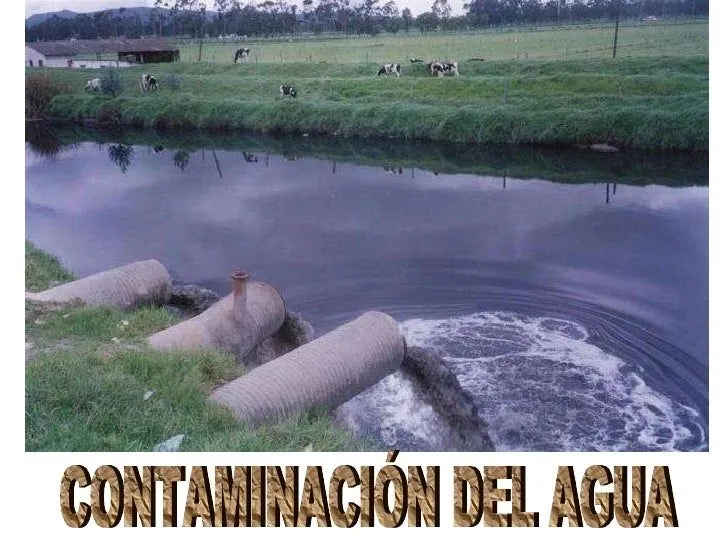 Contaminación del agua