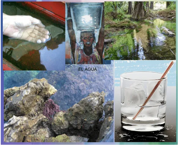 La contaminación del agua