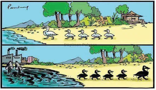 Contaminación del agua | El medio ambiente | Pinterest Contaminación del agua | El medio ambiente | Pinterest