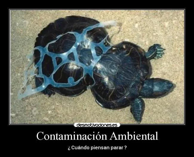 Contaminación Ambiental | Desmotivaciones