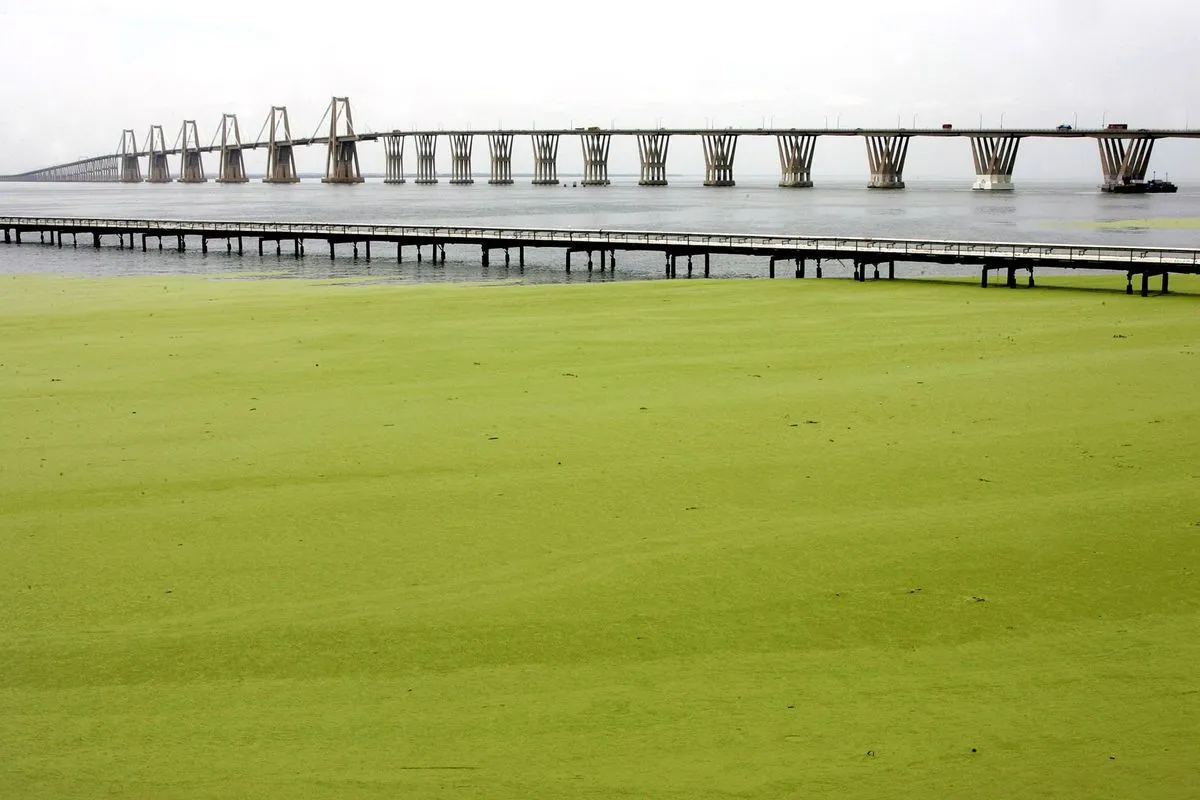 Contaminación petrolera en el Lago de Maracaibo - Observatorio de Ecología Política de Venezuela Contaminación petrolera en el Lago de Maracaibo - Observatorio de Ecología Política de Venezuela