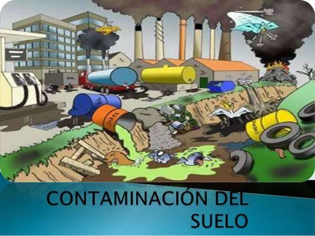 Plantas hiperacumuladoras en el año 2090: La contaminacion en el ... Plantas hiperacumuladoras en el año 2090: La contaminacion en el ...