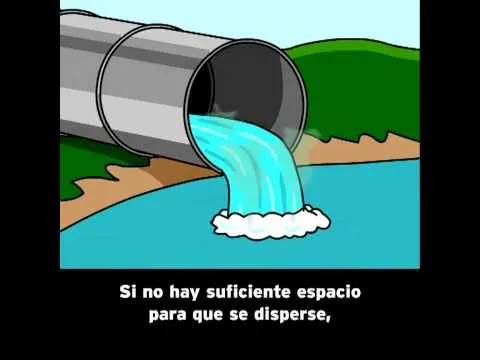 Contaminación del Agua - BrainPOP Español - YouTube