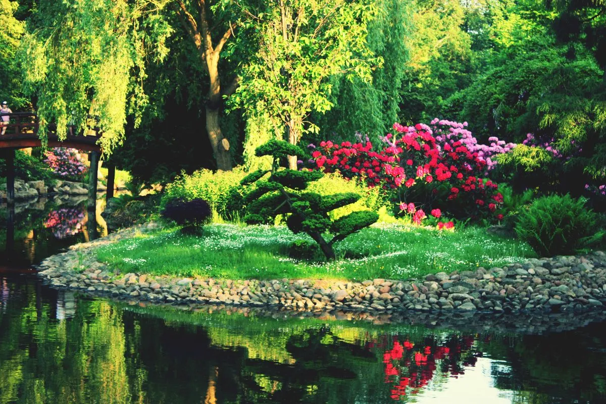 Contemplar un Jardín Japones … | blogdepelusita Contemplar un Jardín Japones … | blogdepelusita