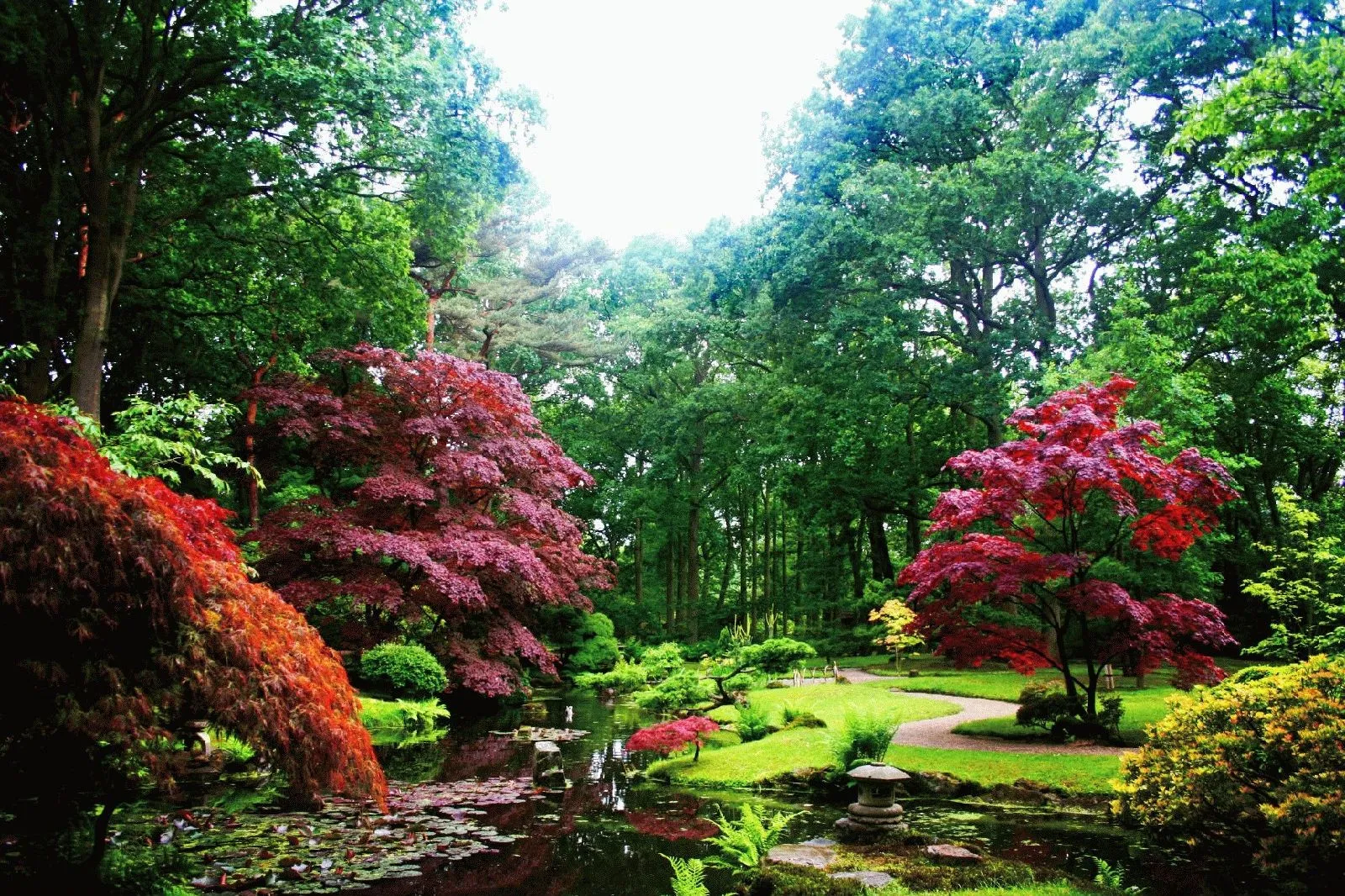 Contemplar un Jardín Japones … | blogdepelusita Contemplar un Jardín Japones … | blogdepelusita