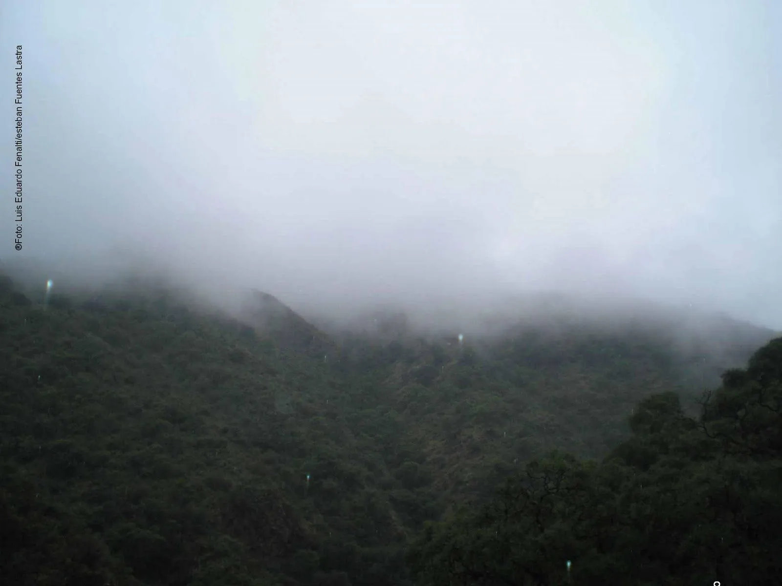 continuamos con nuevas imagenes reales de hadas y elfos de la zona de ... continuamos con nuevas imagenes reales de hadas y elfos de la zona de ...