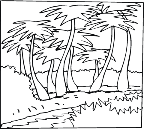 Dibujo de Contorno de Cocoteros para colorear | Dibujos para ... Dibujo de Contorno de Cocoteros para colorear | Dibujos para ...
