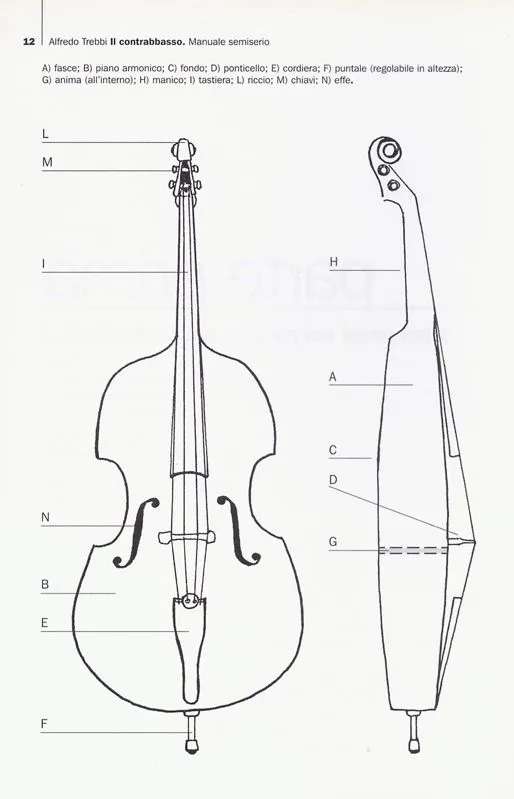 CONTRABBASSO ITALIANO - I FORUM DI MUSICHERIE - nome delle varie ...