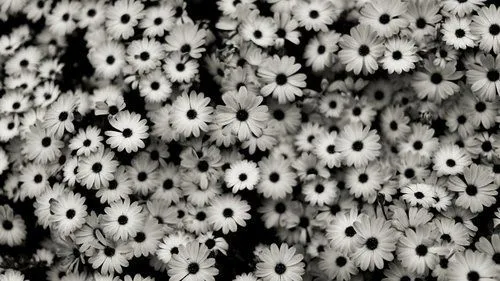contraste | Tumblr
