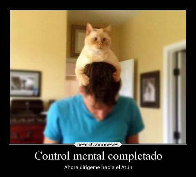 Carteles de Chistoso Pag. 8 | Desmotivaciones Carteles de Chistoso Pag. 8 | Desmotivaciones