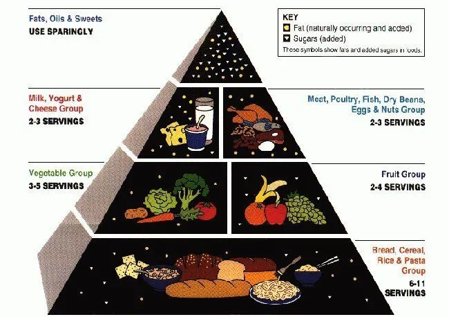 Controla las porciones de alimentos para una dieta equilibrada