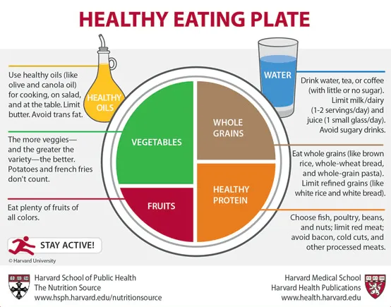Controversia: ¿qué plato del ¨bien¨comer es el mejor? | Comunidad ...