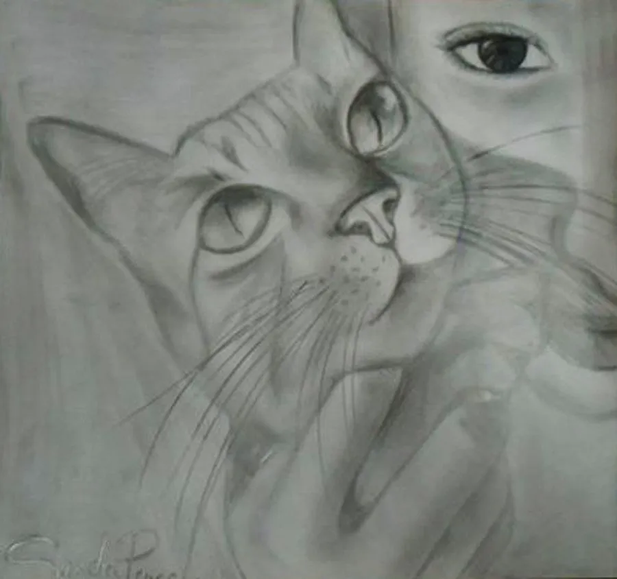 Te convenceré con mi mejor sonrisa.: El reto del siete (dibujo a ... Te convenceré con mi mejor sonrisa.: El reto del siete (dibujo a ...