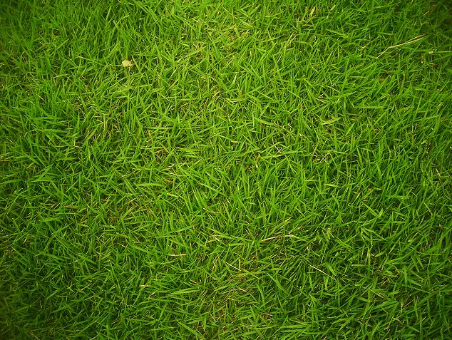 Convertir imagen en fondo Tileable | Diseño web con software libre Convertir imagen en fondo Tileable | Diseño web con software libre