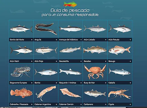 Variedad de peces de mar - Imagui